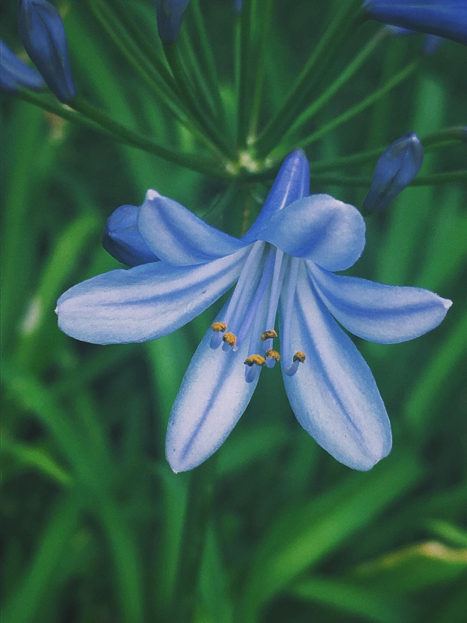 Processed with VSCO with c1 preset