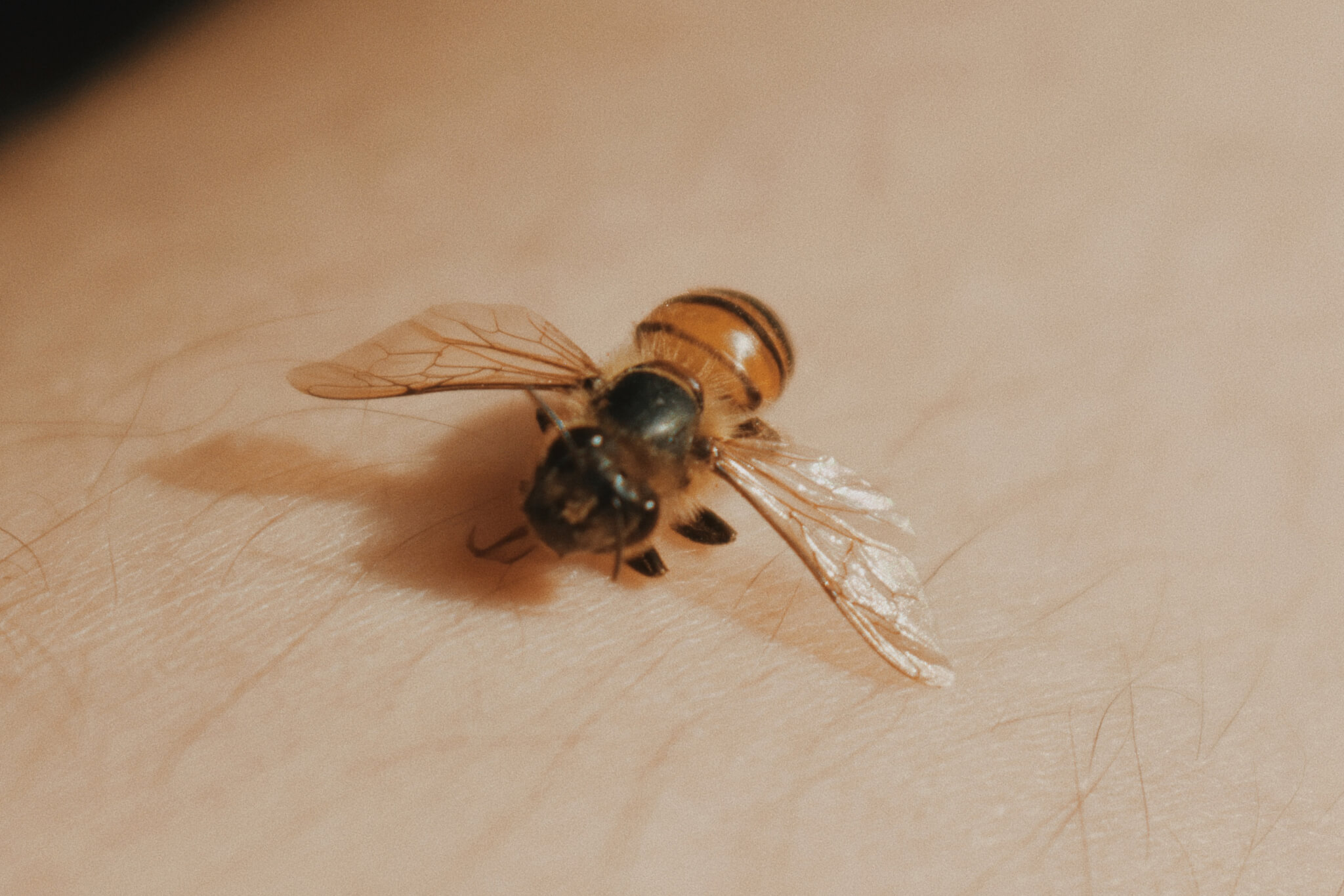 Processed with VSCO with m5 preset