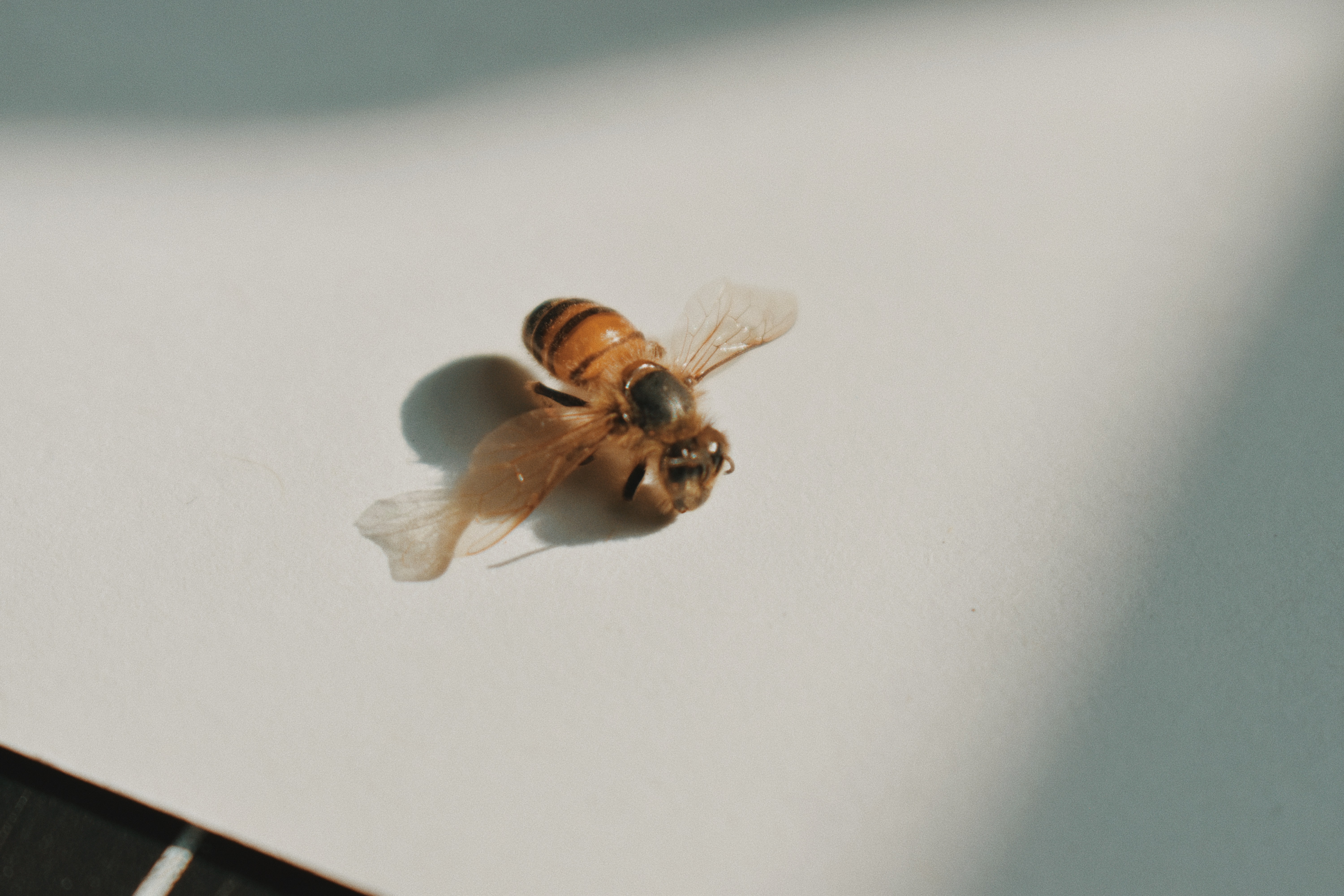 Processed with VSCO with m5 preset